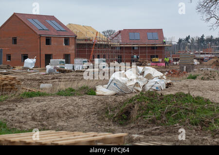 Nuovo alloggiamento dello sviluppo. Sito vergine. Hoveton. Wroxham. Norfolk. Foto Stock