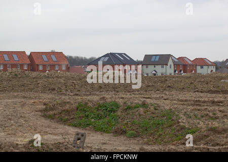 Nuovo alloggiamento dello sviluppo. Sito vergine. Hoveton. Wroxham. Norfolk. Foto Stock