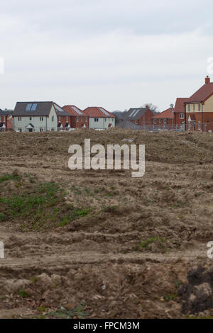 Nuovo alloggiamento dello sviluppo. Sito vergine. Hoveton. Wroxham. Norfolk. Foto Stock