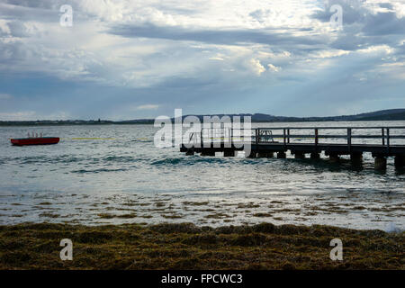 Erin Cove vicino a Middleton Beach Albany. Entro lo squalo Net. Foto Stock