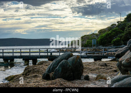 Erin Cove vicino a Middleton Beach Albany. Entro lo squalo Net. Foto Stock