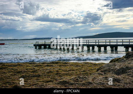 Erin Cove vicino a Middleton Beach Albany. Entro lo squalo Net. Foto Stock