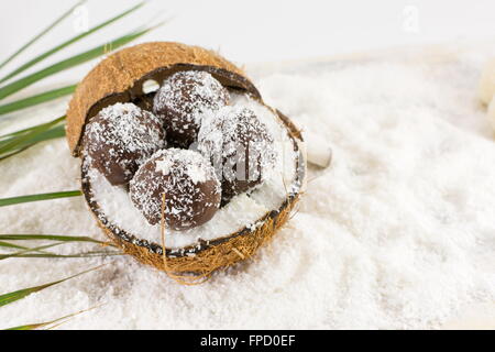 Cocco fresco e fatti in casa i cookie di cocco sulla parte superiore della noce di cocco con messa a terra Foto Stock