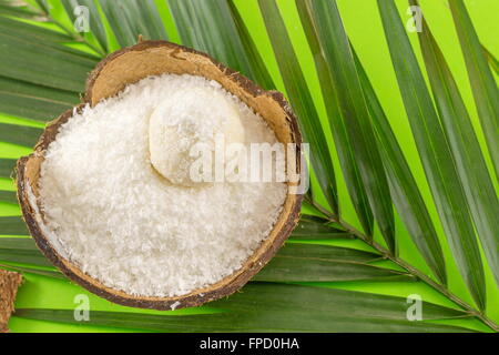 Polvere di noce di cocco e dessert in guscio di noce di cocco sul verde Foto Stock