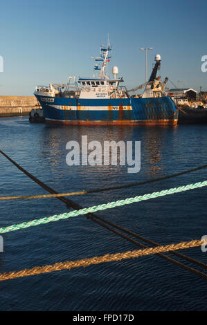 Trawler a Buckie Harbour, murene, Scozia. Foto Stock