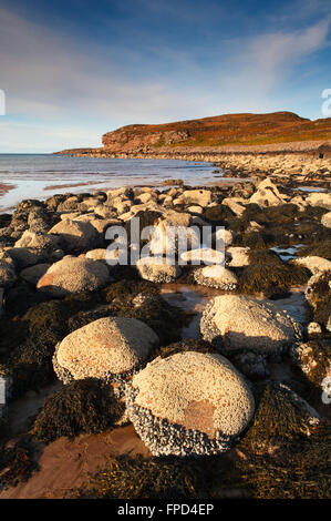 Spiaggia Cuaig sulla penisola di Applecross - Ross-shire, Scozia. Foto Stock