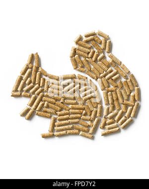 Pellet di legno nella forma di uno scoiattolo Foto Stock