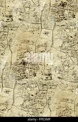 Vecchia facciata incrinata come Texture senza giunture Foto Stock