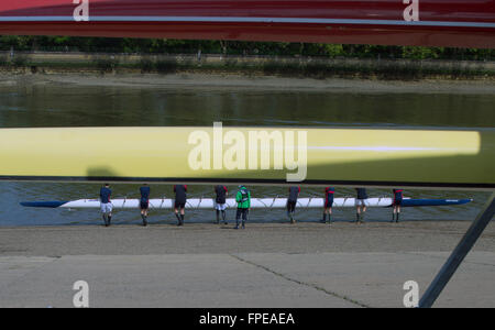 Putney Canottaggio, Coxed otto, il fiume Tamigi, Londra, Inghilterra, British Canottaggio Foto Stock