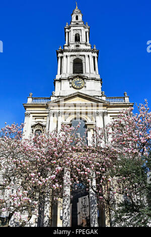 The Strand London campanile di una chiesa e di fronte ovest di St Mary Le Strand albero di Magnolia blossom chiesa ufficiale delle donne del Royal Naval Service England Regno Unito Foto Stock