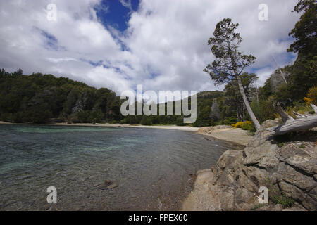 Riva del Lago Nahuel Huapi, Villa Tacul, Parque Municipal Llao Llao vicino a Bariloche, Patagonia, Argentinia Foto Stock