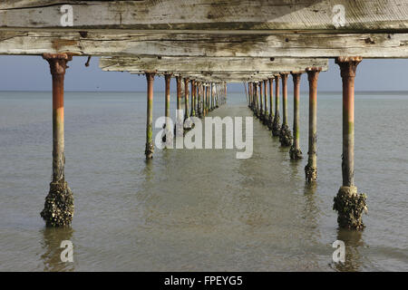 Molo Vecchio, Puntas Arenas, Magellan Street, Cile Foto Stock