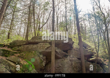 Affioramento roccioso in una centrale di foresta della Pennsylvania. Foto Stock