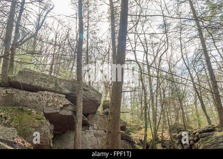 Affioramento roccioso in una centrale di foresta della Pennsylvania. Foto Stock