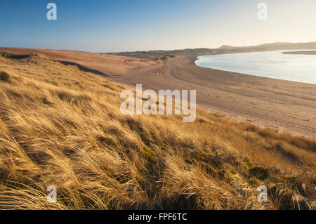 Le dune di sabbia a Forvie Riserva Naturale Nazionale - vicino a Newburgh, Aberdeenshire, Scozia. Foto Stock