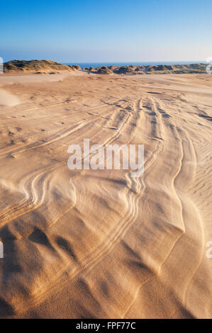 Le dune di sabbia a Forvie Riserva Naturale Nazionale - vicino a Newburgh, Aberdeenshire, Scozia. Foto Stock