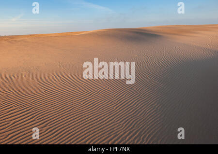 Le dune di sabbia a Forvie Riserva Naturale Nazionale - vicino a Newburgh, Aberdeenshire, Scozia. Foto Stock