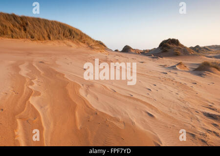 Le dune di sabbia a Forvie Riserva Naturale Nazionale - vicino a Newburgh, Aberdeenshire, Scozia. Foto Stock