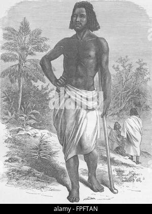 SUDAN: Beni-Amir araba, antica stampa 1880 Foto Stock