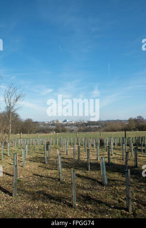 Una vista di Uxbridge, West London, preso dal verde dei campi nelle vicinanze di Iver Heath nel Buckinghamshire Foto Stock
