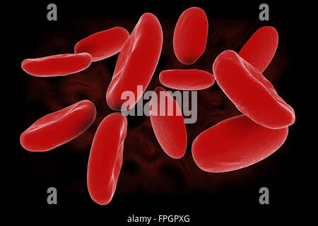 Le cellule del sangue , questo è un computer generato e rendering 3d'immagine. Foto Stock