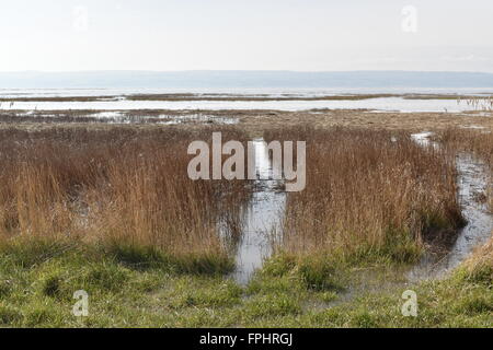 Abbassare paludi Heswall Wirral, Merseyside guardando verso il nord del Galles oltre la Dee estuario. Foto Stock