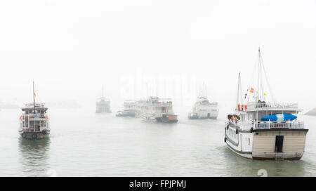 Halong Bay, Vietnam Una flottiglia di turista navi da crociera testa fuori nella nebbia in un giorno umido in gennaio. Foto Stock