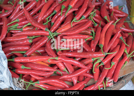 Cesto di colore rosso brillante peperoncini rossi a Hoi An mercato, Vietnam Foto Stock