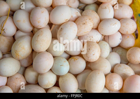 Multicolore gamma libera le uova di anatra in Hoi An mercato, Vietnam.le uova di anatra sono ampiamente consumati , talvolta con embrioni d'anatra all'interno. Foto Stock