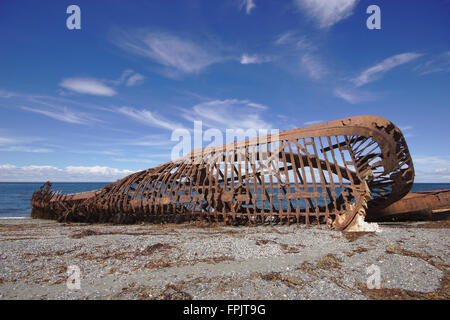 Relitto Ambasciatore, Magellan Street, Patagonia, Cile Foto Stock