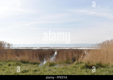 Abbassare paludi Heswall Wirral, Merseyside guardando verso il nord del Galles oltre la Dee estuario. Foto Stock