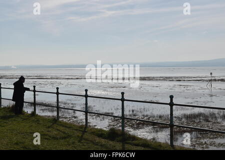 Abbassare paludi Heswall Wirral, Merseyside guardando verso il nord del Galles oltre la Dee estuario. Foto Stock