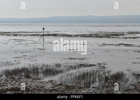 Abbassare paludi Heswall Wirral, Merseyside guardando verso il nord del Galles oltre la Dee estuario. Foto Stock