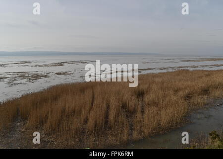 Abbassare paludi Heswall Wirral, Merseyside guardando verso il nord del Galles oltre la Dee estuario. Foto Stock