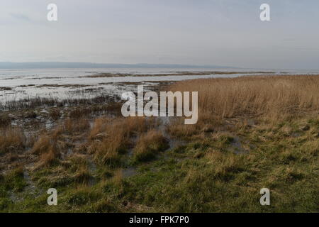 Abbassare paludi Heswall Wirral, Merseyside Foto Stock