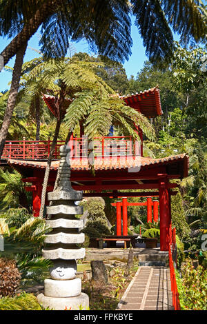 Funchal, giardino giapponese nel giardino tropicale del Monte Foto Stock