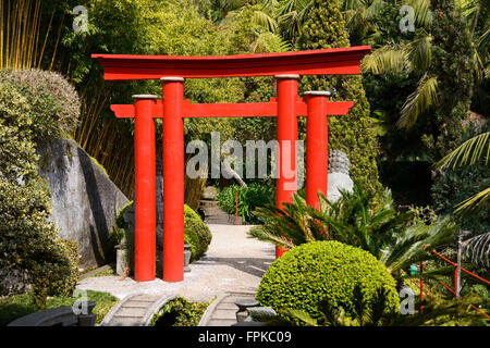 Funchal, giardino giapponese nel giardino tropicale del Monte Foto Stock