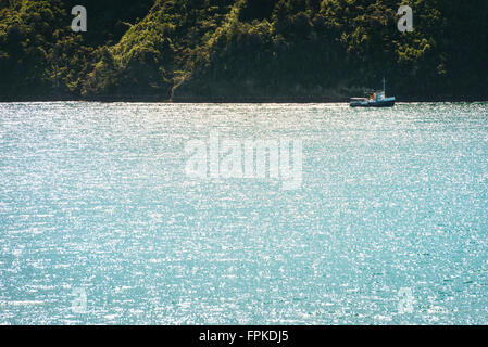 Piccola barca a vela nel Golfo di mare, Nuova Zelanda Foto Stock