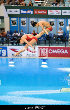 DUBAI, UAE, 19 marzo 2016. Yang Hao e Wang Han della Cina sono in perfetta sincronia sul loro modo di oro in 3m Springboard misti evento sincronizzato. Il duo cinese ha segnato quattro delle cinque del round top immersioni a battere comodamente Jennifer Abel e Francois Imbeau-Dulac del Canada. Credito: Feroz Khan/Alamy Live News Foto Stock