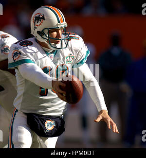 Cleveland, Ohio, USA. Xx Nov, 2005. Miami Dolphins quarterback Sage Rosenfels in azione durante i delfini partita contro i Cleveland Browns al Cleveland Browns Stadium su nov. 20, 2005 in Cleveland, Ohio. Zuma Press/Scott A. Miller © Scott A. Miller/ZUMA filo/Alamy Live News Foto Stock