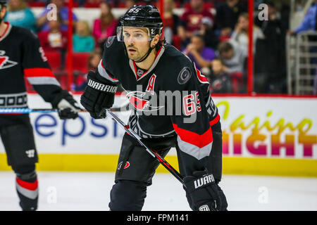 Raleigh, North Carolina, Stati Uniti d'America. 28 Feb, 2016. Carolina Hurricanes defenceman Ron Hainsey (65) durante il gioco NHL tra la St Louis Blues e Carolina Hurricanes al PNC Arena. © Andy Martin Jr./ZUMA filo/Alamy Live News Foto Stock