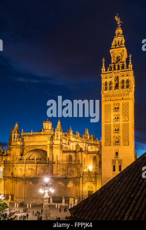 Vista notturna della Cattedrale di Sevilla e Giralda torre campanaria, Siviglia, Andalusia, Spagna Foto Stock