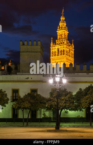 Vista notturna di Plaza del patio de Banderas con il campanile di Giralda sullo sfondo, Siviglia, Andalusia, Spagna Foto Stock