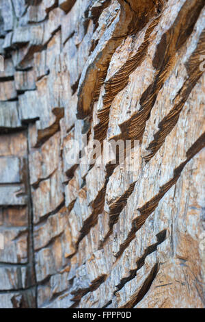 Dettaglio di una statua in legno a Praga Foto Stock