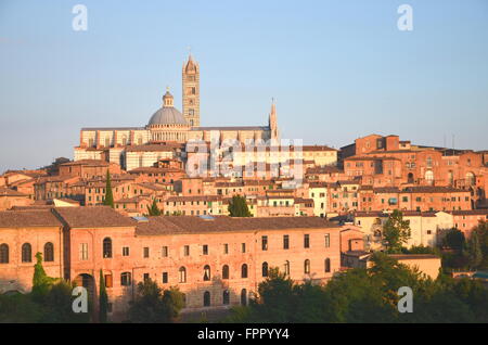 Splendido panorama di Siena al tramonto in estate, Toscana, Italia Foto Stock