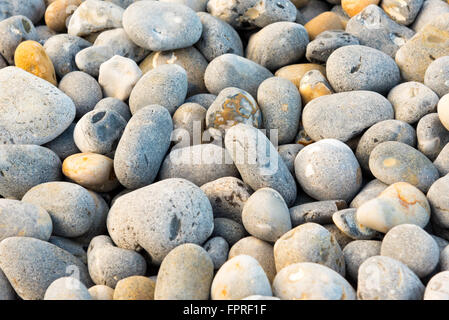 Raccolta di peebles sul lungomare di SHERINGHAM Foto Stock