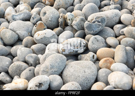 Raccolta di peebles sul lungomare di SHERINGHAM Foto Stock