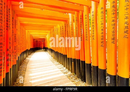 Il testo giapponese scritto sulla colorata di rosso torii gates supporta ripetendo a Fushimi Inari Taisha senza persone presenti in Ky Foto Stock