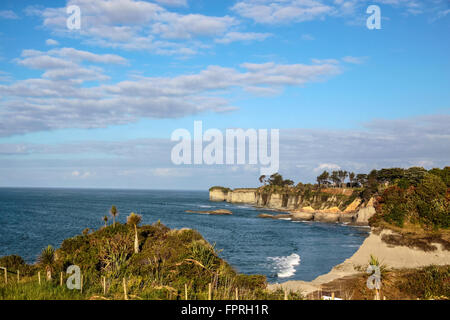 Linea di costa vicino a Cape Foulwind, regione West Coast, Nuova Zelanda Foto Stock