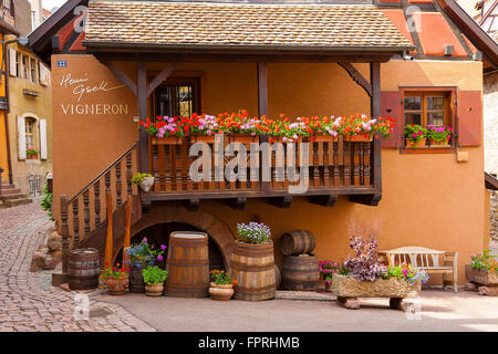 Tipica casa in legno e muratura di Eguisheim lungo la strada del vino dell'Alsazia, Francia. Foto Stock